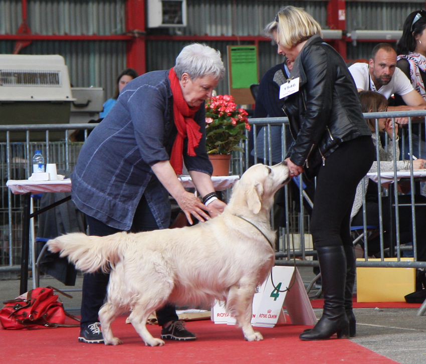 Résultats d'expositions de Blue Moon du Domaine des Rives de l'Erdre